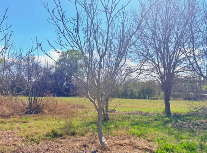 Terreno · 2000m²