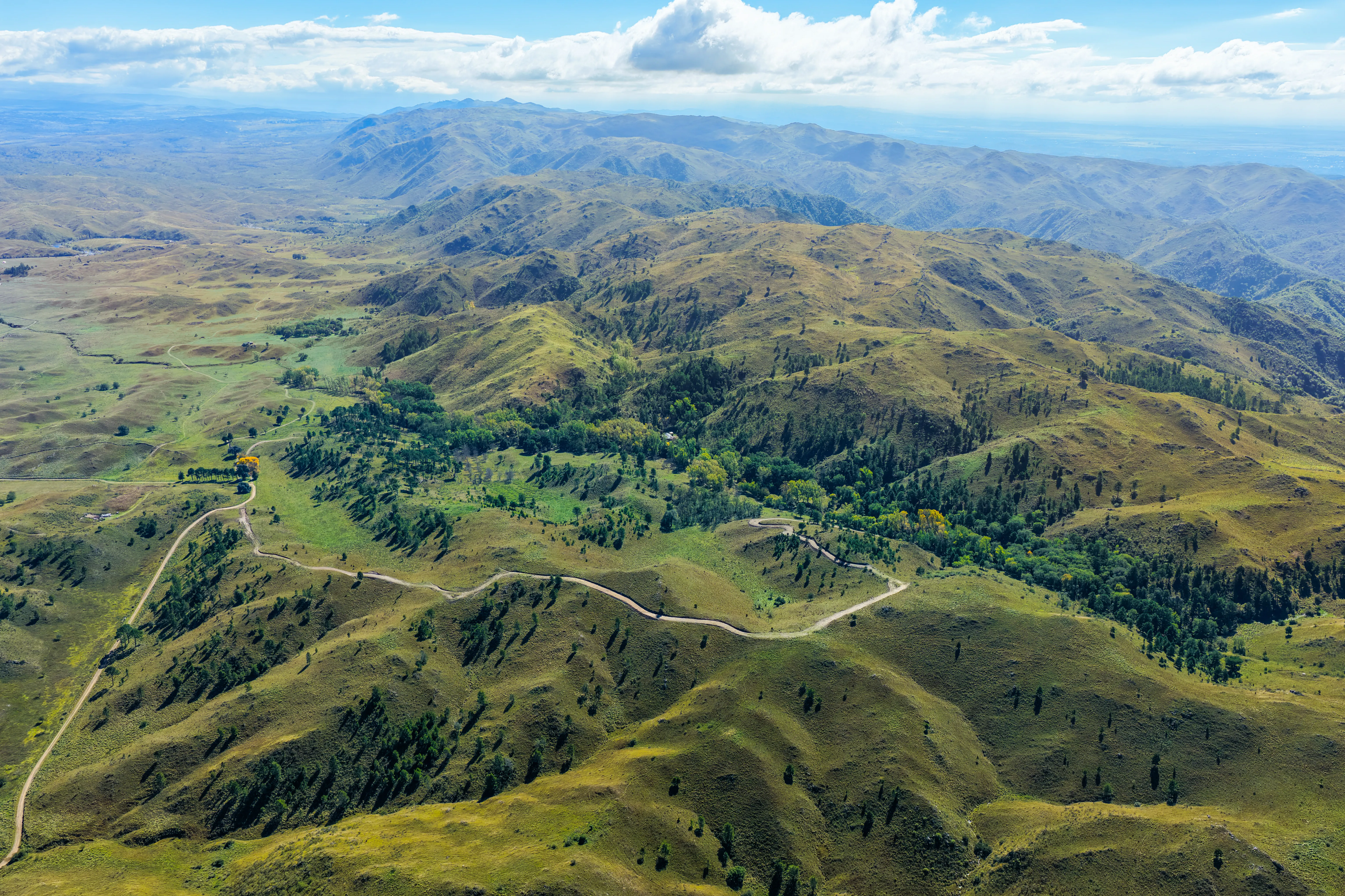 CAMPO POTRERO GARAY 80 hectáreas VENTA