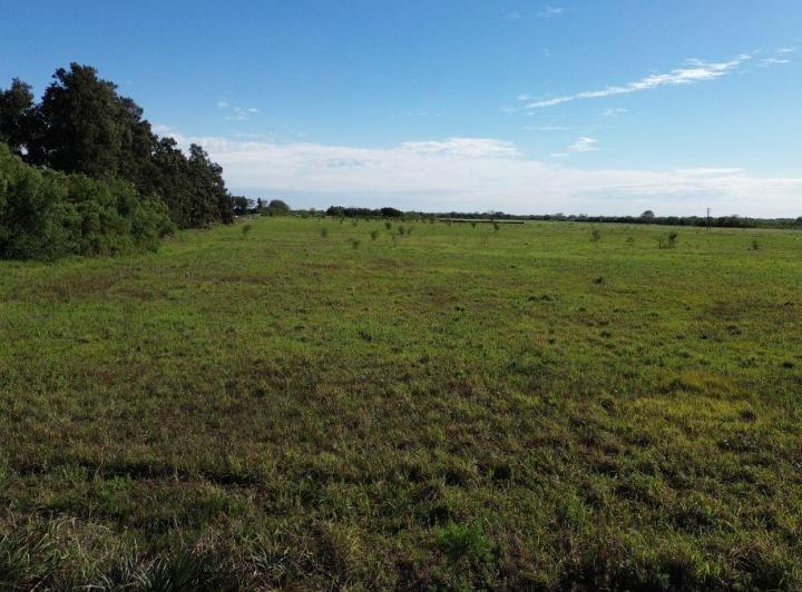 Terreno · 45000m²