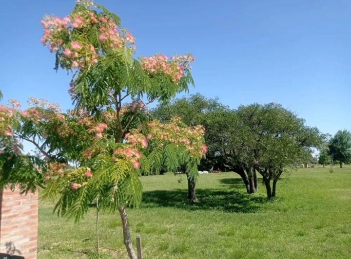 Terreno · 920m²