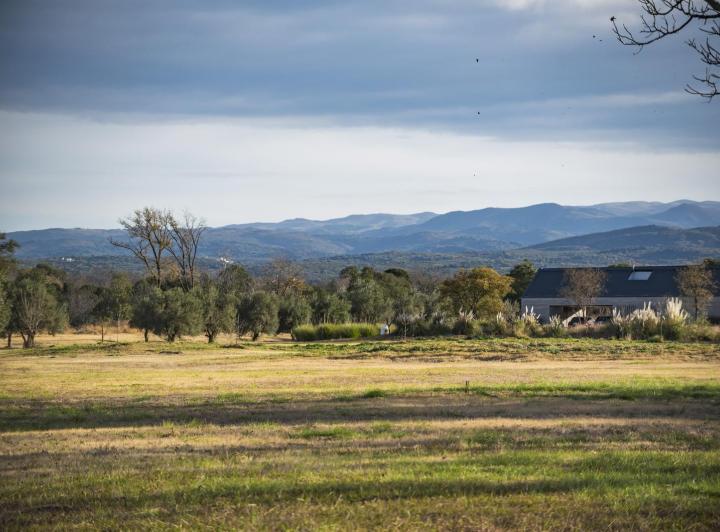 Terreno · 7500ha