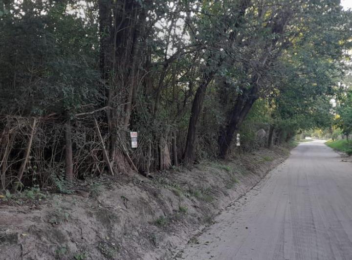 Terreno · 10000m²