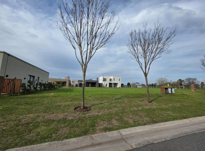 Terreno · 453m²