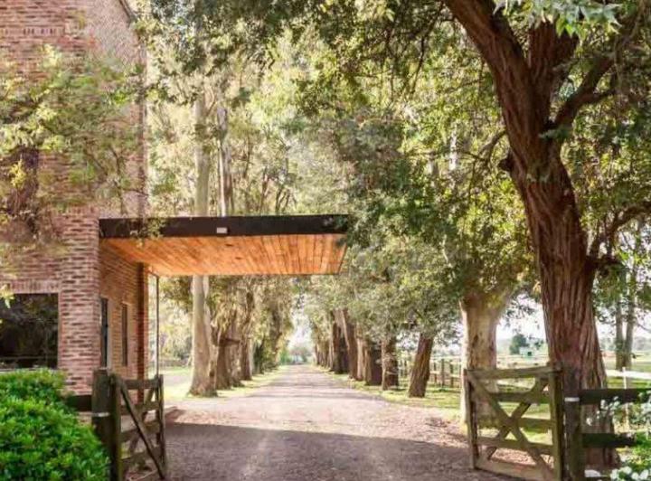Terreno · 1311m²