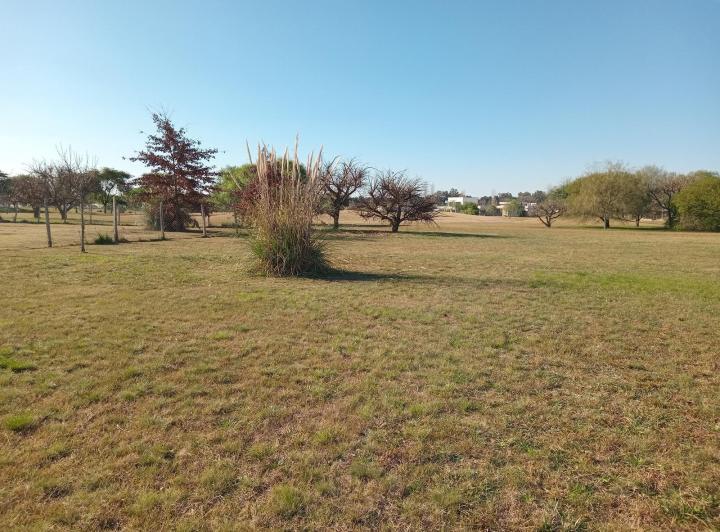 Terreno · 1417m²