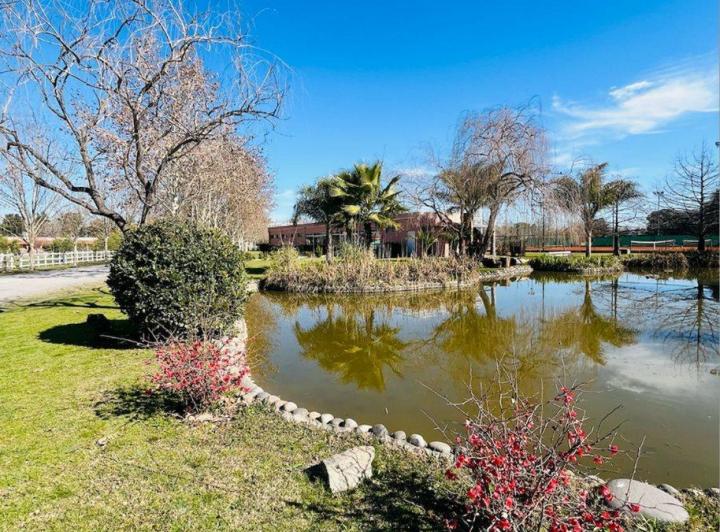Terreno · 1632m²
