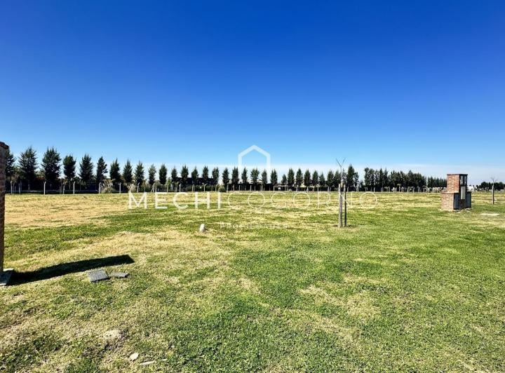 Terreno · 783m²