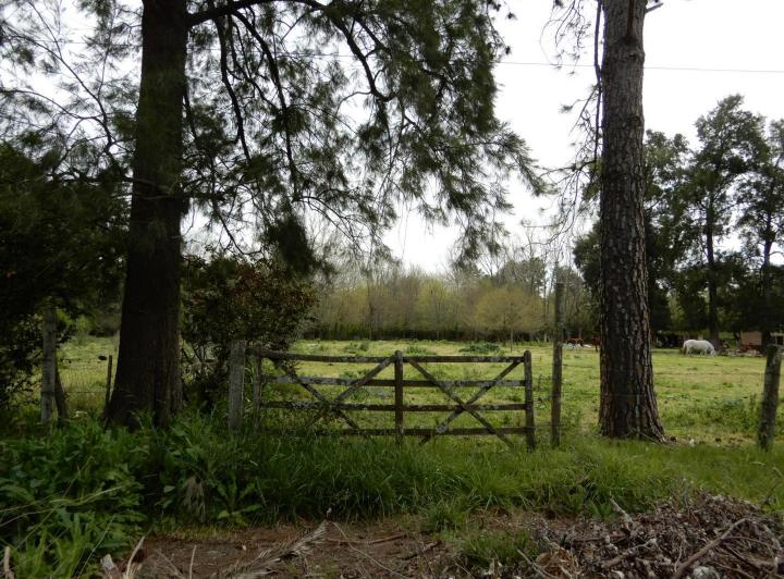 Terreno · 4200m²