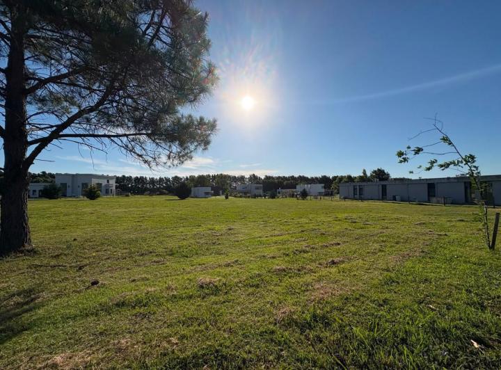 Terreno · 1000m²