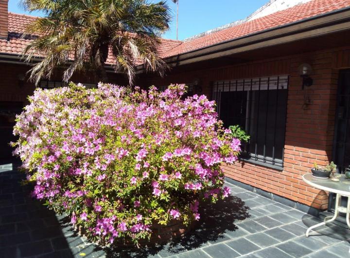 Casa · 262m² · 4 Ambientes · 1 Cochera