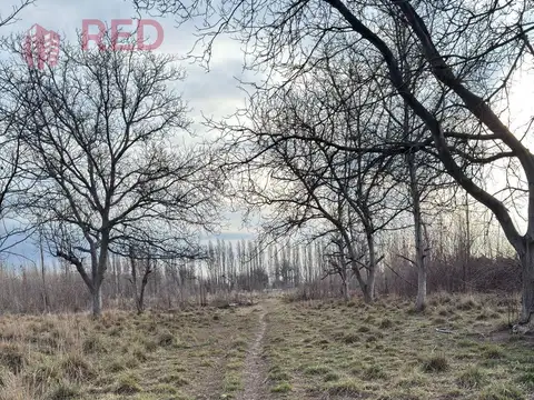 Campo en Venta en Cervantes, General Roca