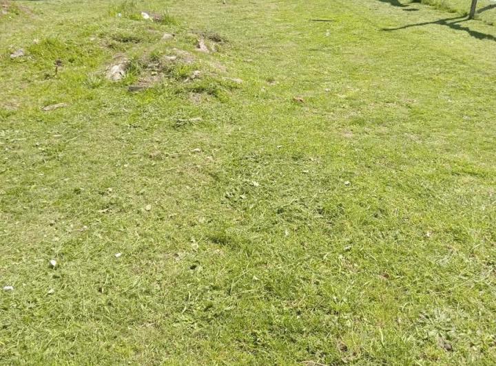 Terreno · 972m²