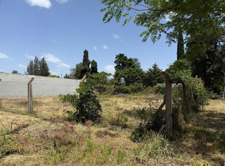 Terreno · 300m²