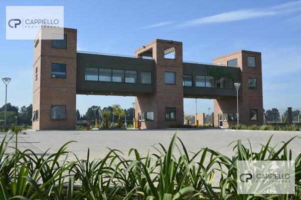 Terreno · 970ha