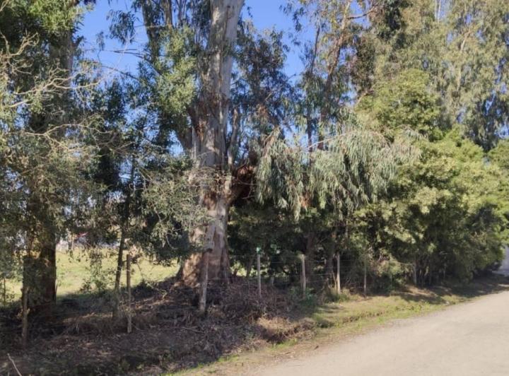 Terreno · 300m²
