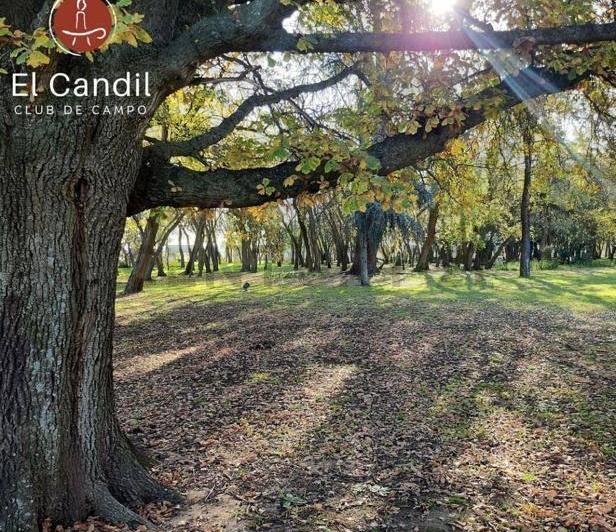 Terreno · 915m²