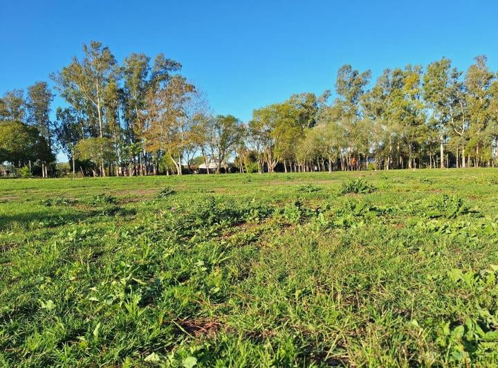 Terreno · 400m²