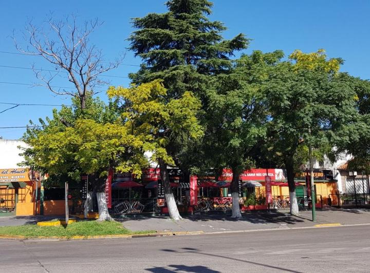 Local comercial · 242m² · 1 Ambiente