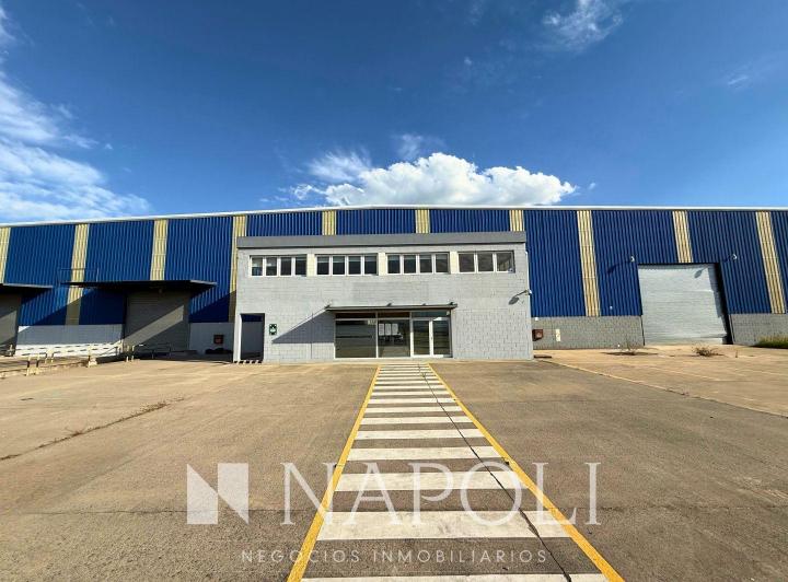 Bodega-Galpón · 65698m²