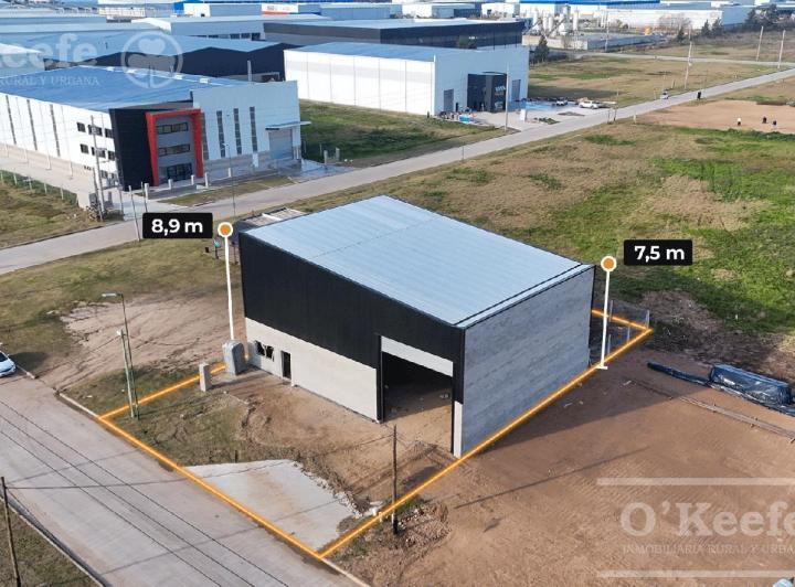 Bodega-Galpón · 300m² · 1 Ambiente