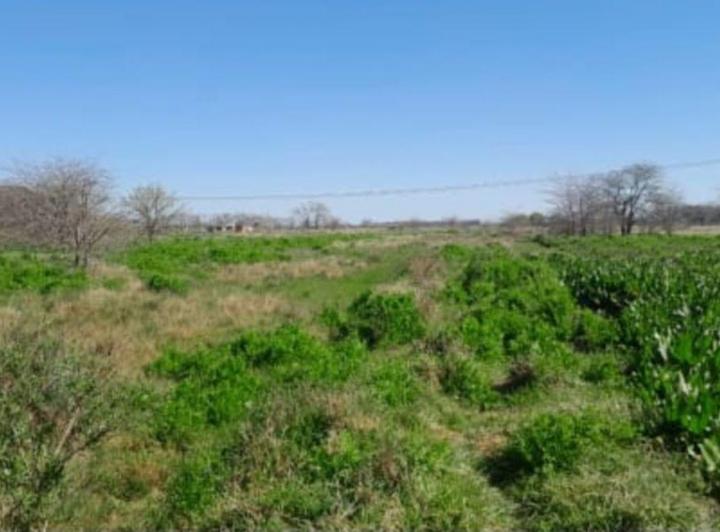 Terreno · 52500m²