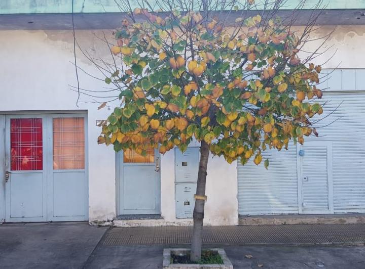 Casa · 200m² · 6 Ambientes · 1 Cochera