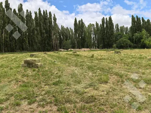 Campo en Venta en Picun Leufu, Picún Leufú