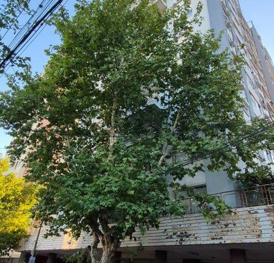 Departamento · 46m² · 2 Ambientes · 1 Cochera