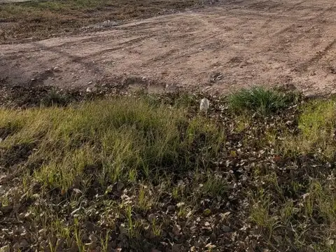 Terreno en Venta en Plottier, Confluencia