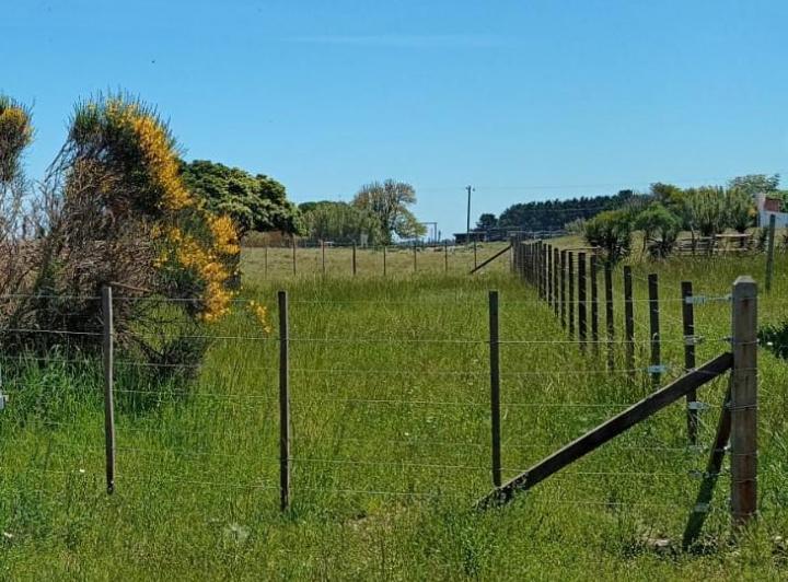 Terreno · 380m²