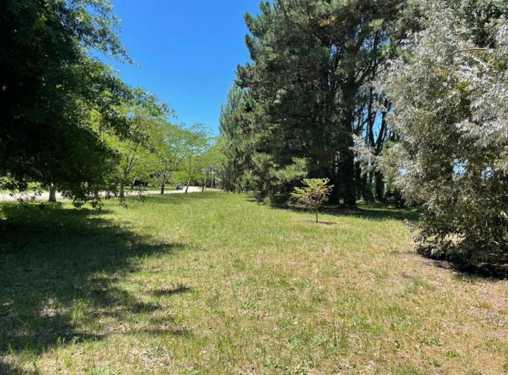 Terreno · 2028m²