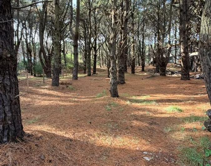 Terreno · 655m²