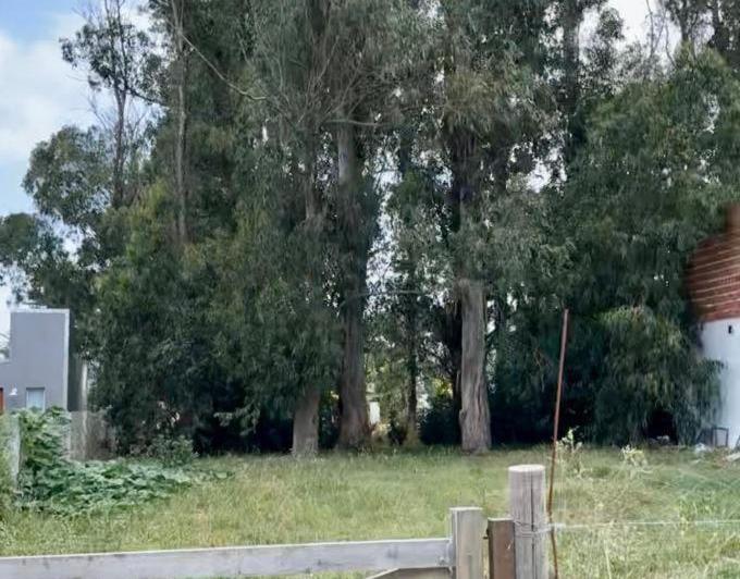 Terreno · 472m²