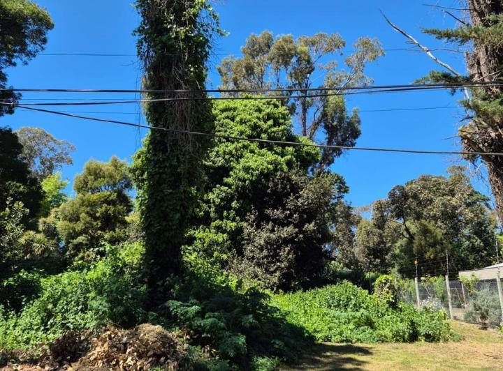 Terreno · 450m²