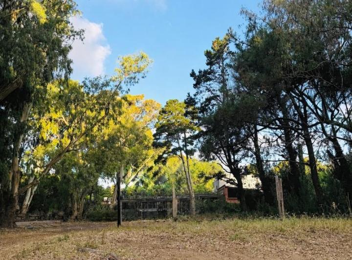 Terreno · 445m²