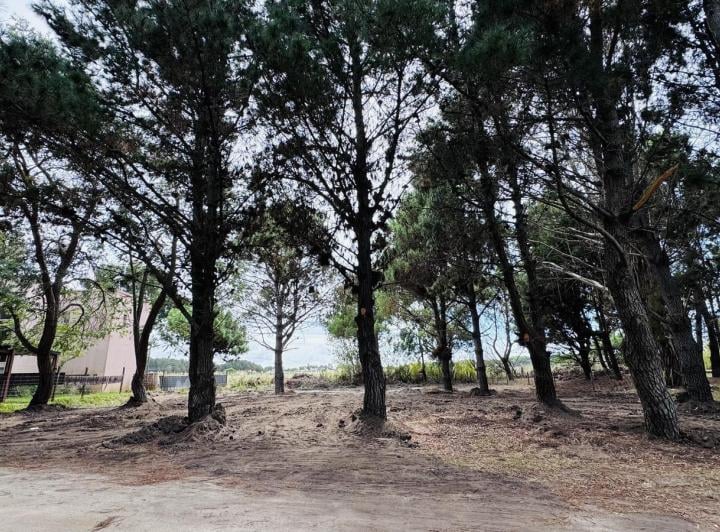Terreno · 642m²