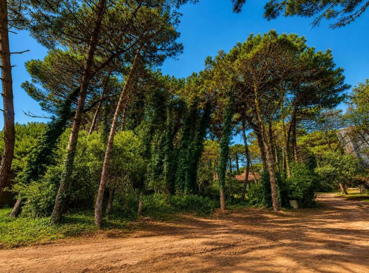 Terreno · 798m²