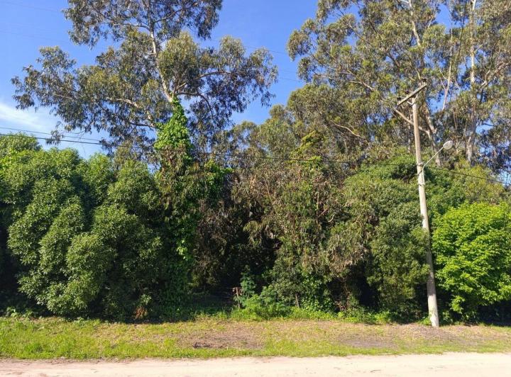 Terreno · 600m²
