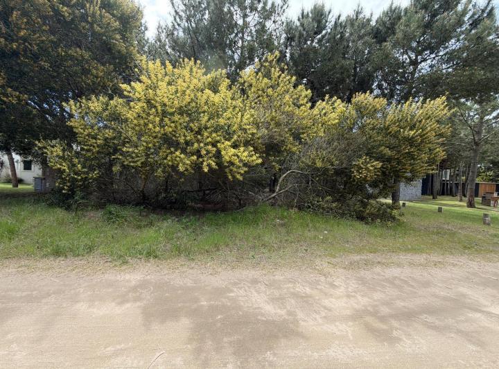 Terreno · 933m²