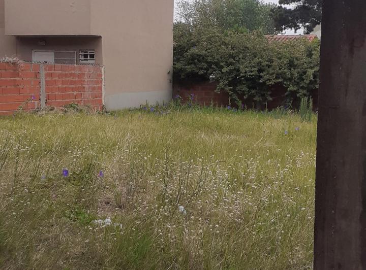 Terreno · 200m²
