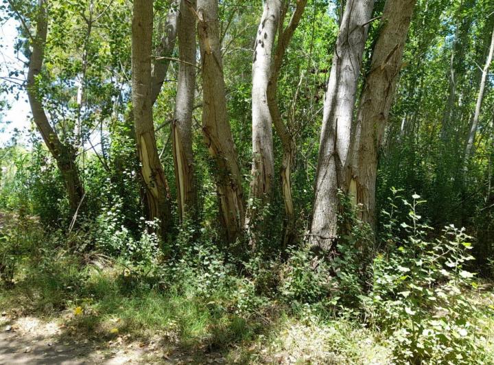 Terreno · 399m²