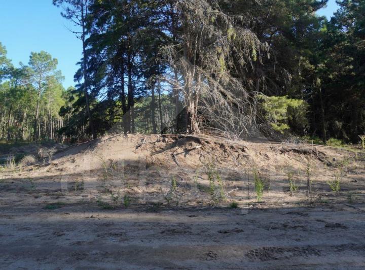 Terreno · 1m²