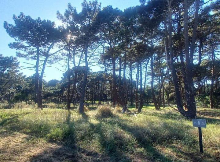 Terreno · 1050m²