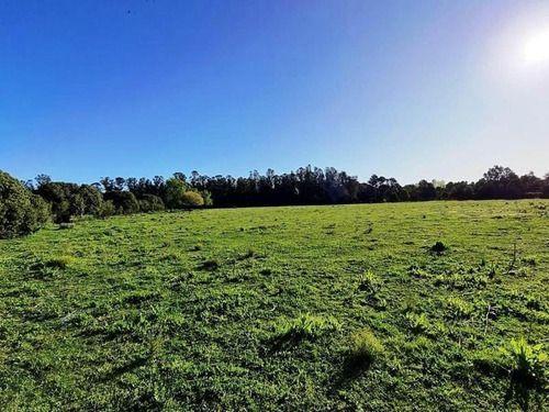 Terreno · 35881m²