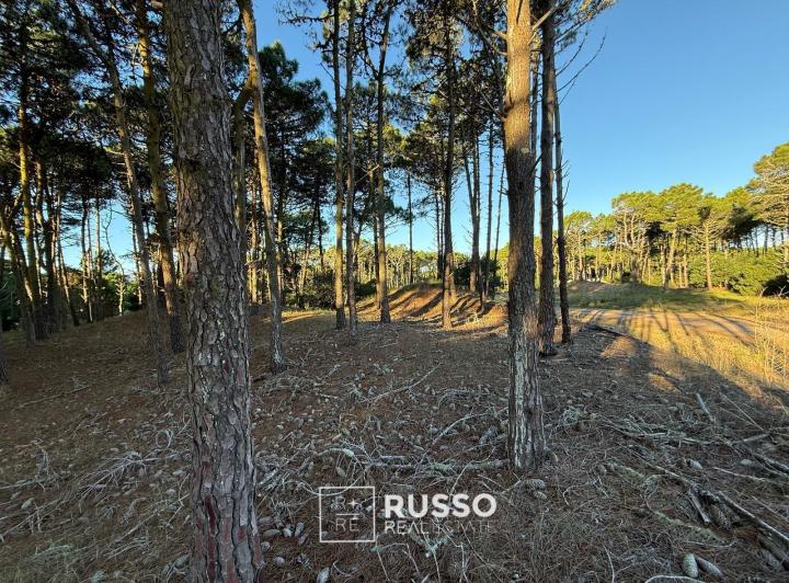 Terreno · 1072m²