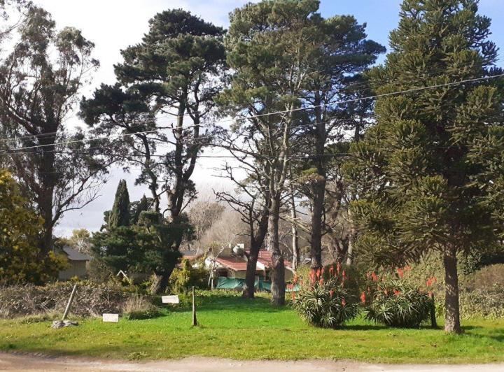 Terreno · 705m²