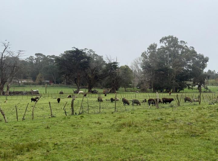 Terreno · 50m²