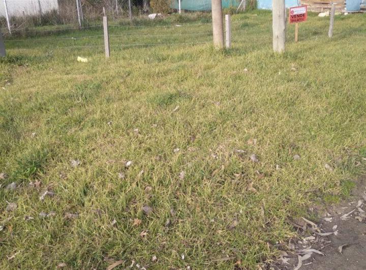 Terreno · 200m²