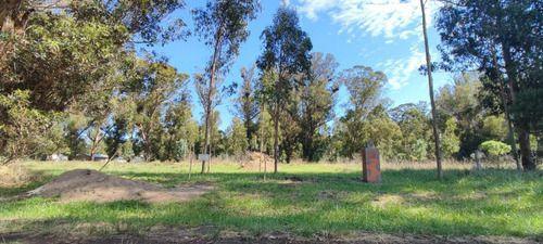Terreno · 300m²