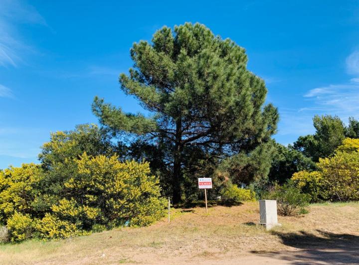 Terreno · 523m²